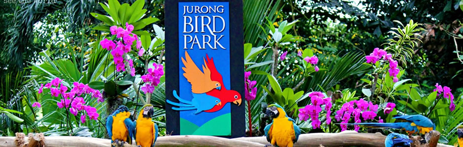 Jurong bird park